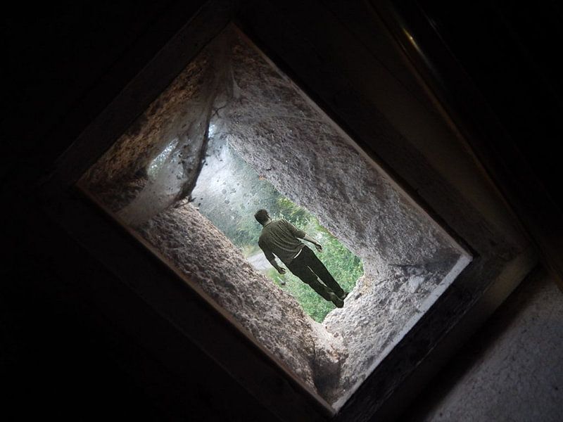 Dissapear von Ineke Vroling