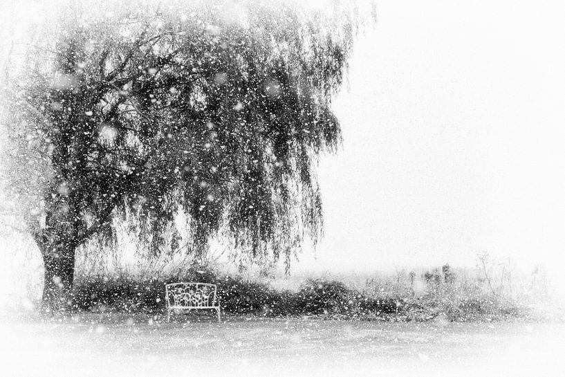 Bientôt l'Hiver by Renald Bourque