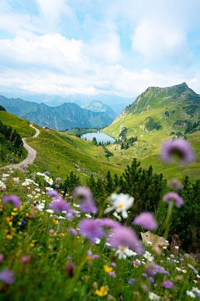Vue fleurie sur le lac Seealpsee dans les Alpes d'Allgäu par Leo Schindzielorz