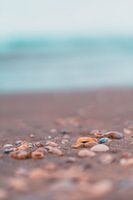 Granaten in Scheveningen