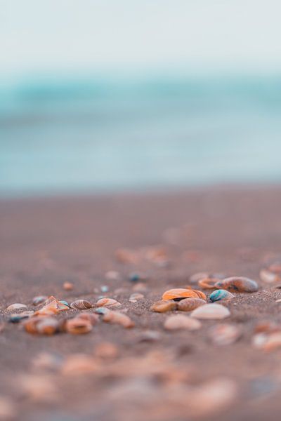 Granaten in Scheveningen von Alex van der Aa