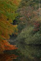 Colourful autumn palette