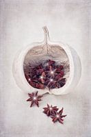 STILLLEBEN MIT STERNANIS