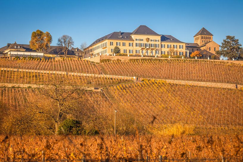 Schloss Johannisberg im Rheingau von Christian Müringer