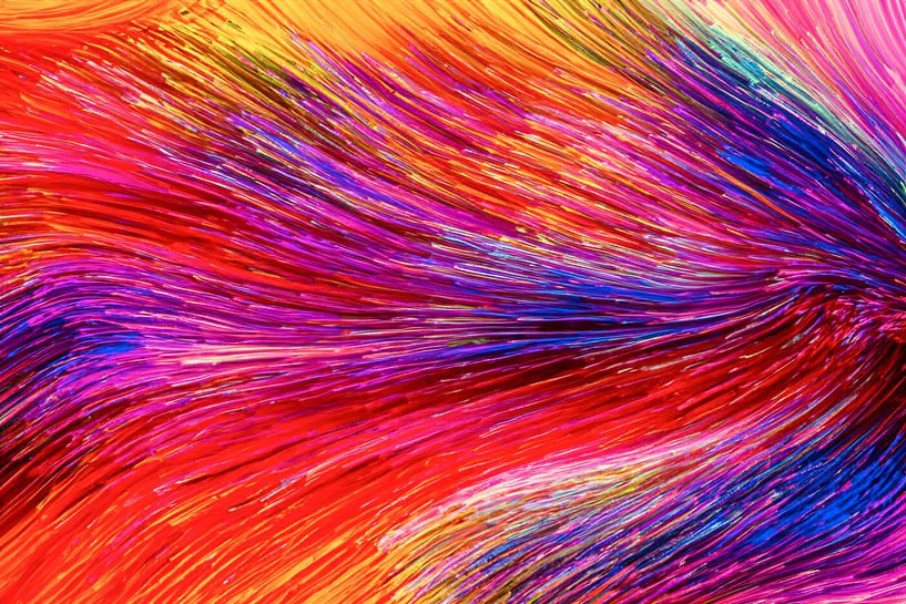 Pompon coloré par Laura Wubben