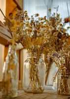 Getrocknete Blumen in Glasgefäßen – rustikales Stillleben | Botanische Wandkunst