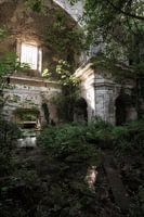 Kirche Die Natur übernimmt 4