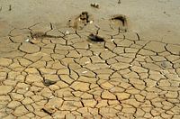 Dry soil in Curaçao