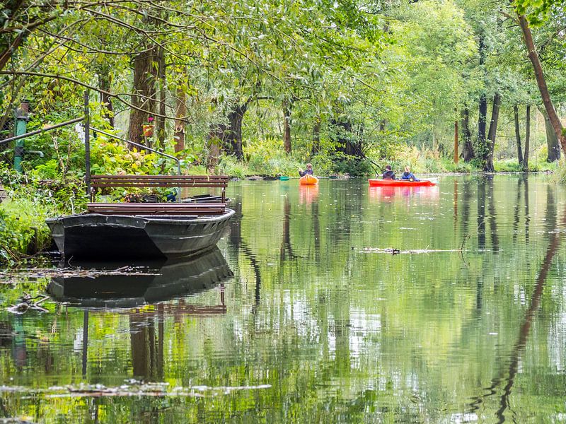 Auf der Spree im Spreewald bei Lübbenau von Animaflora PicsStock