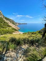 Majorca - Cala Coll Baix
