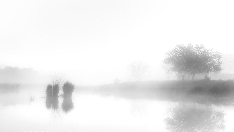 Brumeux par Lex Schulte