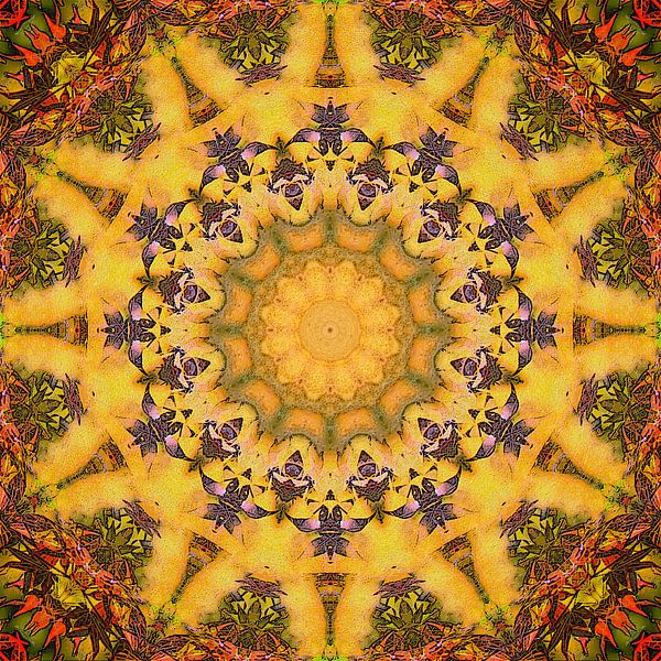 Soleil Orange par Frans Blok - des photos, de l'art et des autres décorations murales