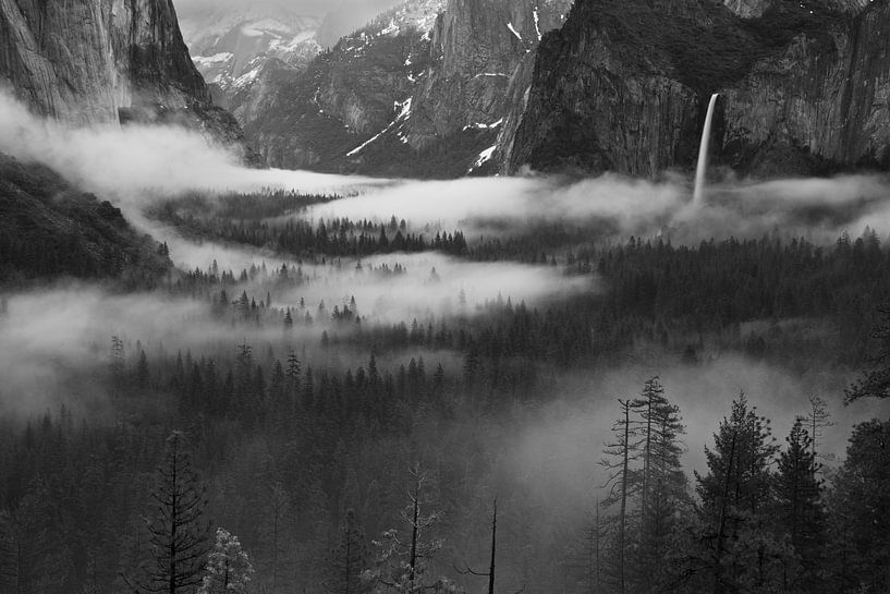 Fog Floating In Yosemite Valley by Hong Zeng