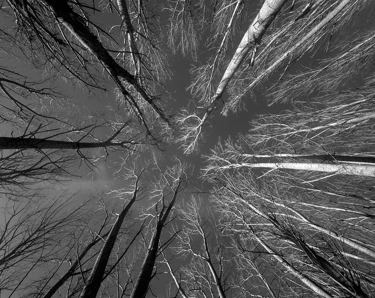 Ponto de Fuga par Nana Sousa Dias