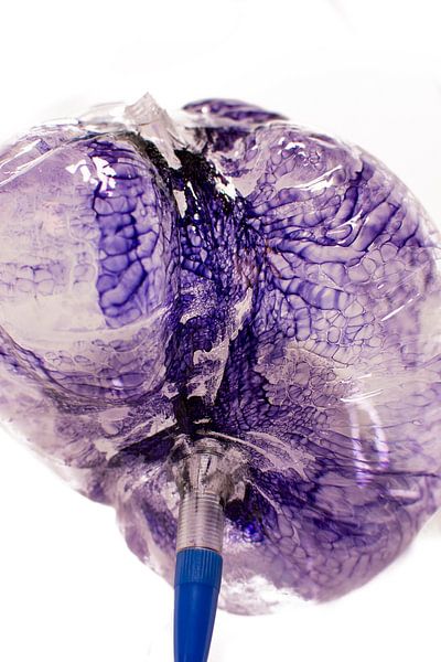 Cellules bleues par Djillie Roes