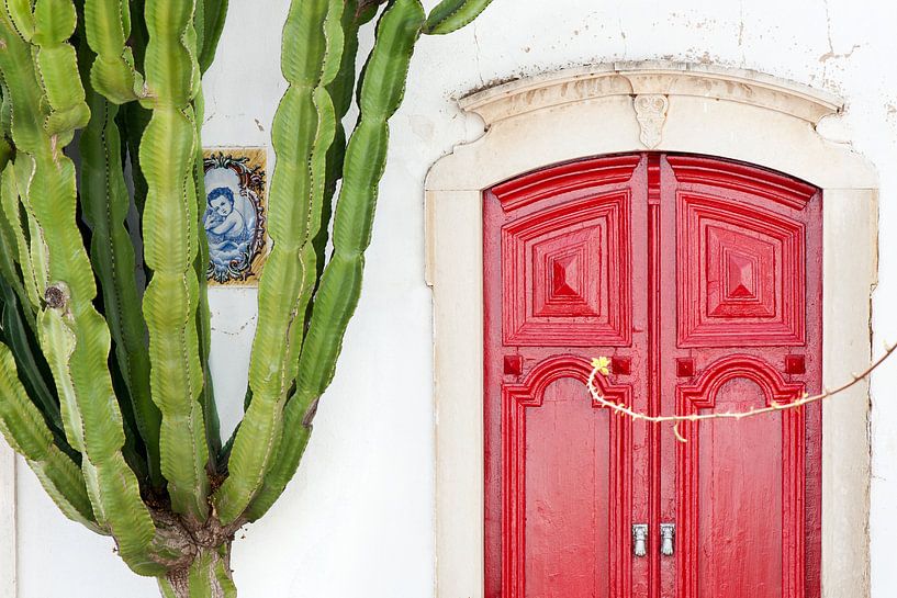 Red door by Remke Spijkers