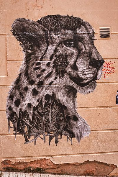 Cheetah on the wall by Raphael Kipfer
