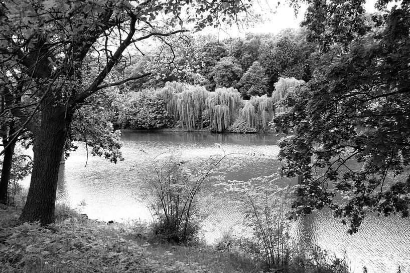 View of the Hase and the riverbank by Bianca Meyering Fotos - BMF