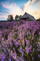 Schafstall in der Heide