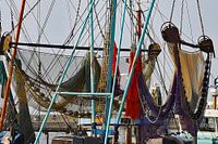 Im Hafen von Lauwersoog