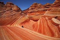 Die Welle, Arizona