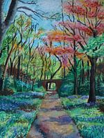 Park Sorghvliet the Hague