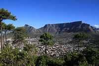 Tafelberg Kaapstad vanaf Signal Hill