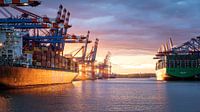 Sonnenuntergang im Hamburger Hafen