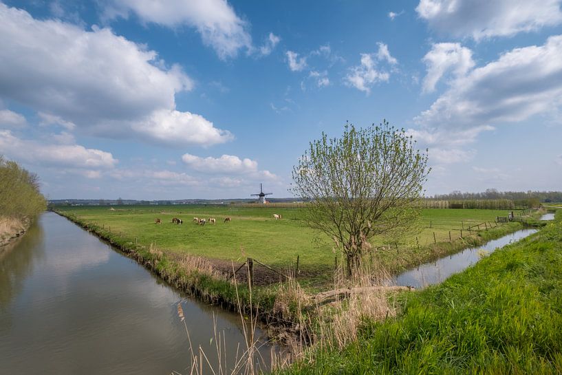 Hollands tafereel von Moetwil en van Dijk - Fotografie