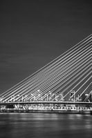 Pont Erasmus à Rotterdam