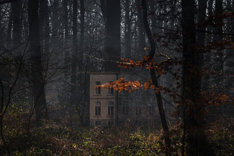 Wolfslaar restaurant in the forest, Breda, barony, North Brabant, Netherlands, Holland. by Ad Huijben