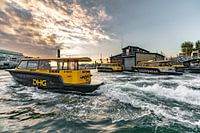 Wasser Taxi Rotterdam