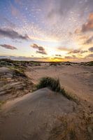 Düne, Strand und Meer