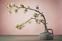 Fleur dans un vase - nature morte minimaliste