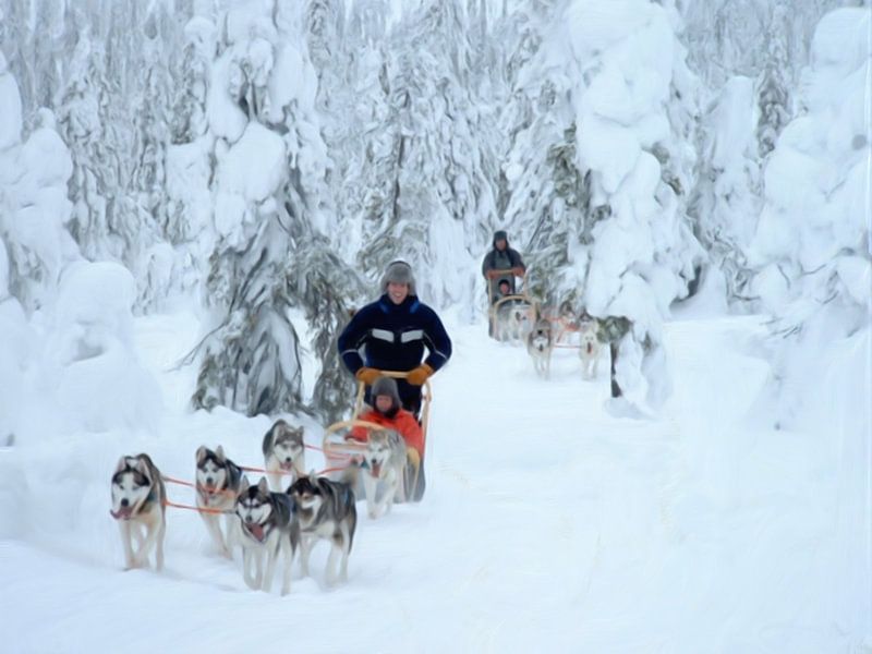Hundeschlittenfahrt Finnisch-Lappland von Maurice Dawson
