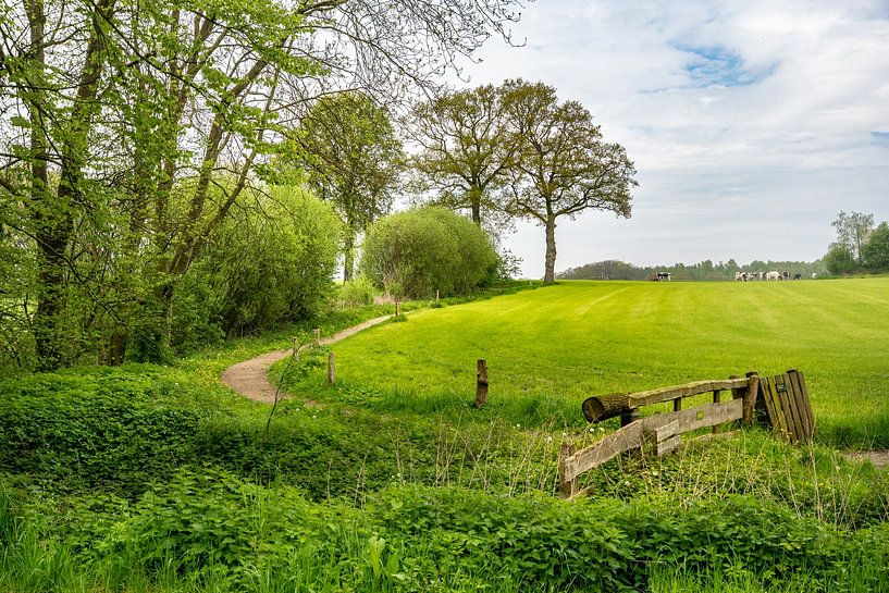 Mühlenweg bei Frans' Mühle von Ron Poot