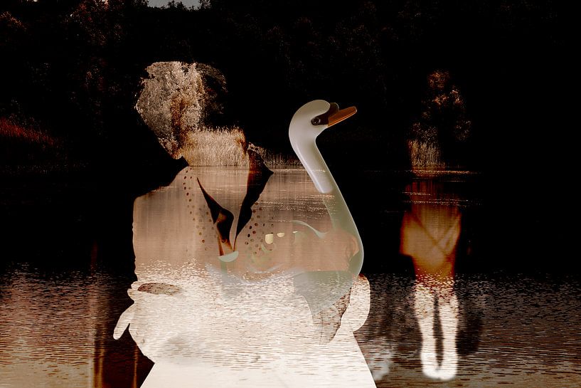 Layers by True Color Stories