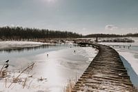 Ein Wintertag in niederländischen Gefilden