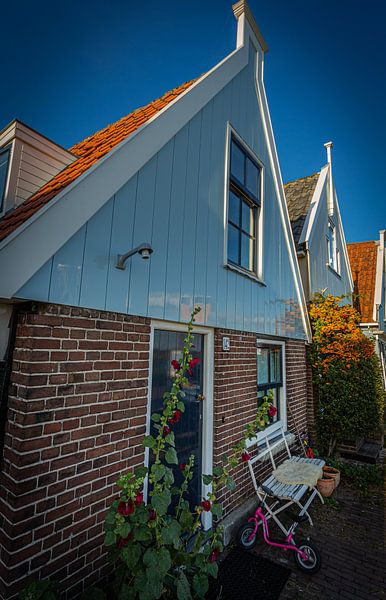 Stockrose vor der Hütte von peterheinspictures