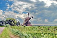 Polder mill Delphine 1874
