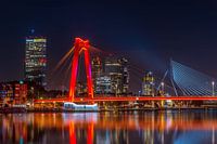 The Bridges of Rotterdam