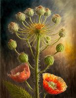 ein Riesenbärenklau mit Mohn