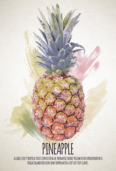 Fruities Pineapple by Sharon Harthoorn