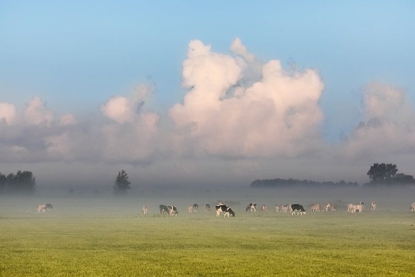 Dutch misty landscape in IJlst with grazing cows and a typical Dutch cloudy sky. Wout by Wout Kok