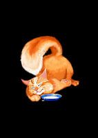 Whiskers and Wonder Cute Funny Cat