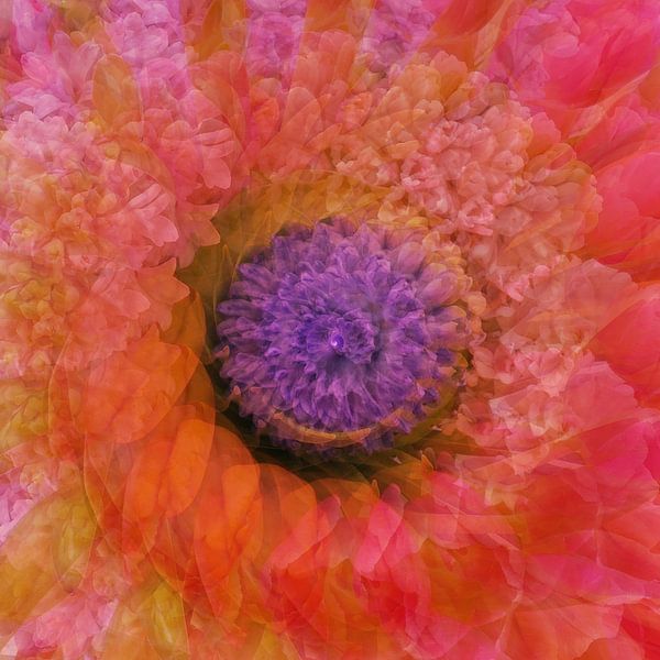 Der wunderbare große Blütenkreis von christine b-b müller