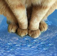 Katze schleicht Fisch in Schüssel