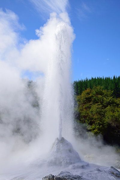 Forte éruption du geyser Lady Knox par Frank's Awesome Travels