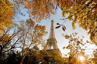 L'automne à Paris