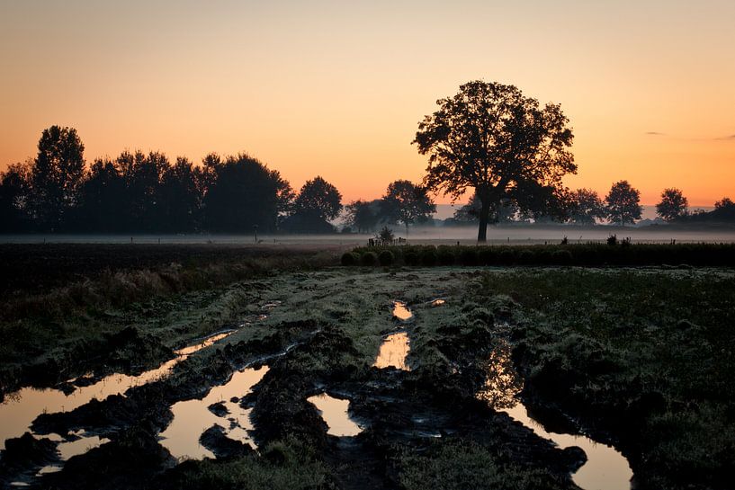 Landschap tijdens zonsondergang by Andy Van Tilborg